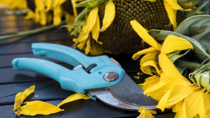 Zahradnické nůžky