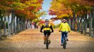 Cyklisté v podzimní krajině
