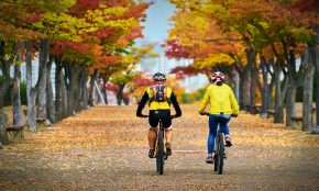 Cyklisté v podzimní krajině