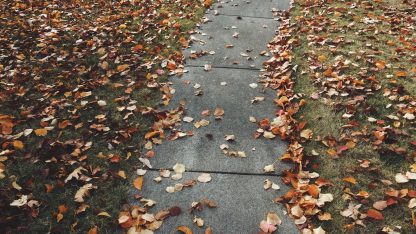 Příjezdová cesta s napadaným listím