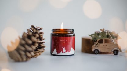 kouzelne-vanocni-dekorace