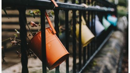 živá stěna na plotě