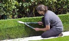 mechanicke nůžky na živý plot