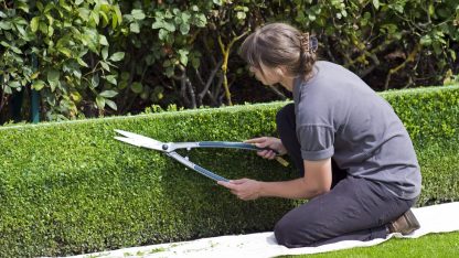 mechanicke nůžky na živý plot