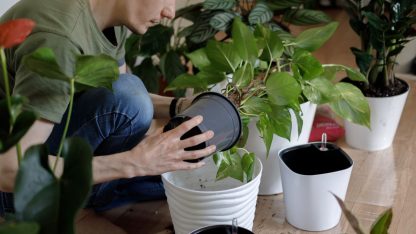 Návrh bez názvu (15)