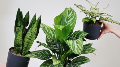 Návrh bez názvu (19)