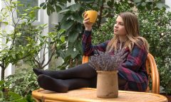 pohoda v zimní zahradě