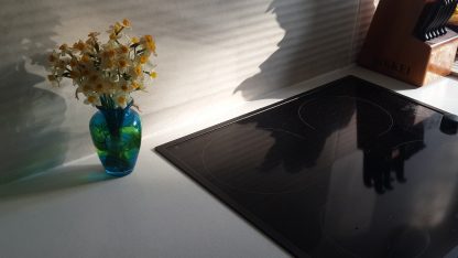 nejlepší varná deska